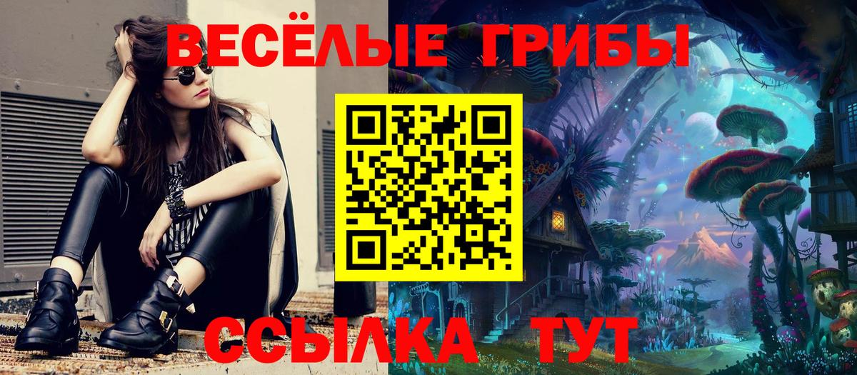 Шадринск  Псилоцибиновые грибы Cubensis  закладки  Вход с VPN 